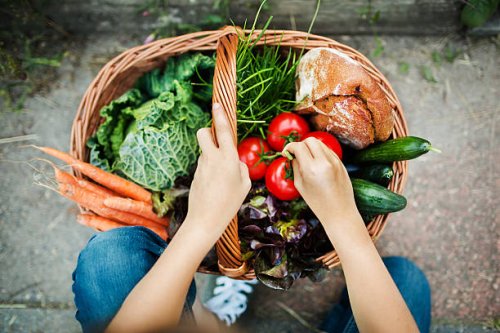 hands of a girl with harvested vegetable - food stock pictures, royalty-free photos & images