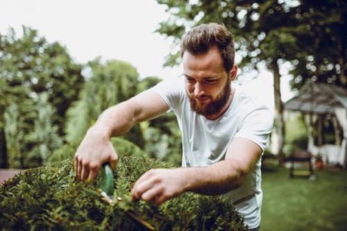 handsome adult male trimming bush in backyard - garden decoration stock pictures, royalty-free photos & images