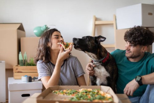 happy caucasian couple moving into their new apartment - junk food stock pictures, royalty-free photos & images