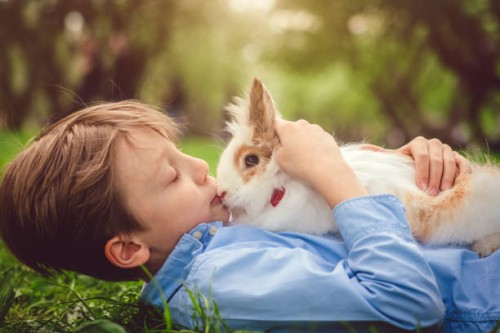 happy child playing with bunny on easter egg hunt - garden decoration stock pictures, royalty-free photos & images