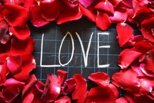 happy valentines day! text on blackboard on background of rose petals - garden decoration stock pictures, royalty-free photos & images