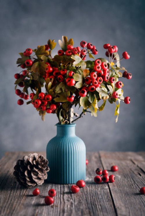 hawthorn branches in a vase - home decoration stock pictures, royalty-free photos & images