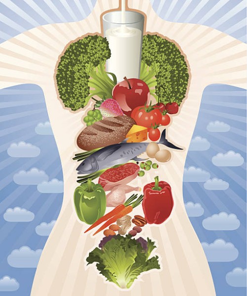 healthy body composed by healthy food vector - food stock illustrations