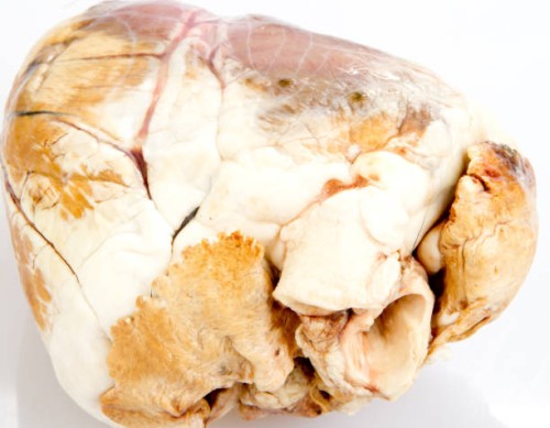 heart - junk food stock pictures, royalty-free photos & images