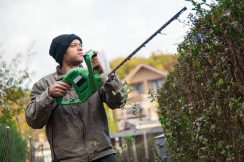 hedge trimming - man cutting green fence with a hedge trimmer - garden decoration stock pictures, royalty-free photos & images