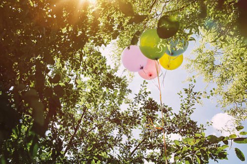 helium ballons hanging in trees - garden decoration stock pictures, royalty-free photos & images