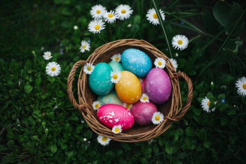 high angle of view on the colorful easter eggs and white daisies on the green grass between white daisies - garden decoration stock pictures, royalty-free photos & images