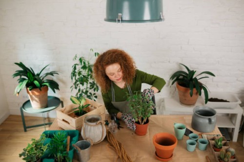 high angle view of a young caucasian woman taking care of her houseplants with care - garden decoration stock pictures, royalty-free photos & images