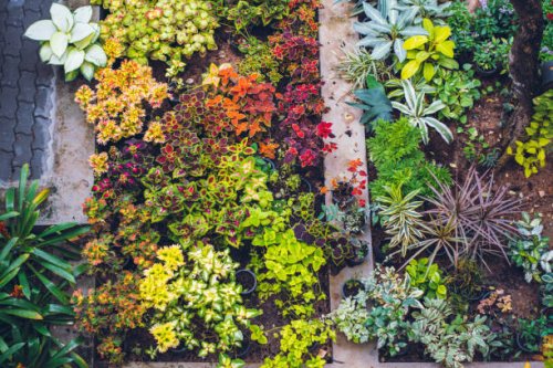 high angle view of garden trees - garden decoration stock pictures, royalty-free photos & images