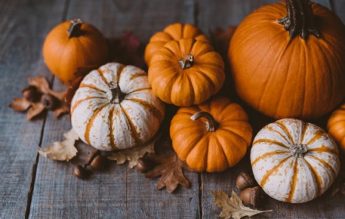 high angle view of orange and white pumpkins on rustic wooden table. - home decoration stock pictures, royalty-free photos & images