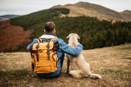 hiker with backpack and his dog resting on mountain - travel stock pictures, royalty-free photos & images