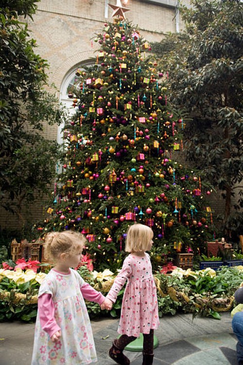 Holiday tree is on display as part of the annual winter exhibit at the U.S. Botanic Garden, Dec. 02, 2009.