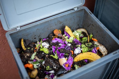 home composter - compost in process with earthworms - food stock pictures, royalty-free photos & images