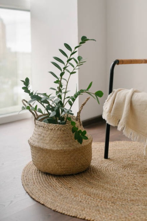 home plant zamifolia in straw basket on floor near cozy armchair with beige plaid. - home decoration stock pictures, royalty-free photos & images