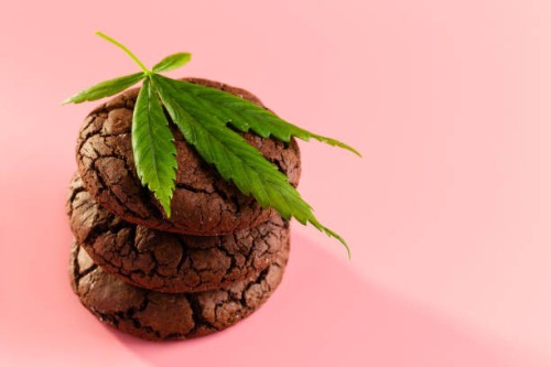 homemade marijuana chocolate cookies with green leaf on pink background - food stock pictures, royalty-free photos & images