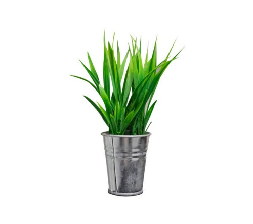 house plants in silver pots - garden decoration stock pictures, royalty-free photos & images