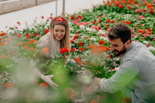 huge love for out garden - garden decoration stock pictures, royalty-free photos & images