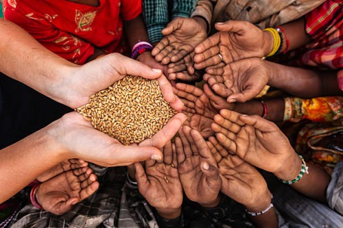 hungry african children asking for food, africa - food stock pictures, royalty-free photos & images