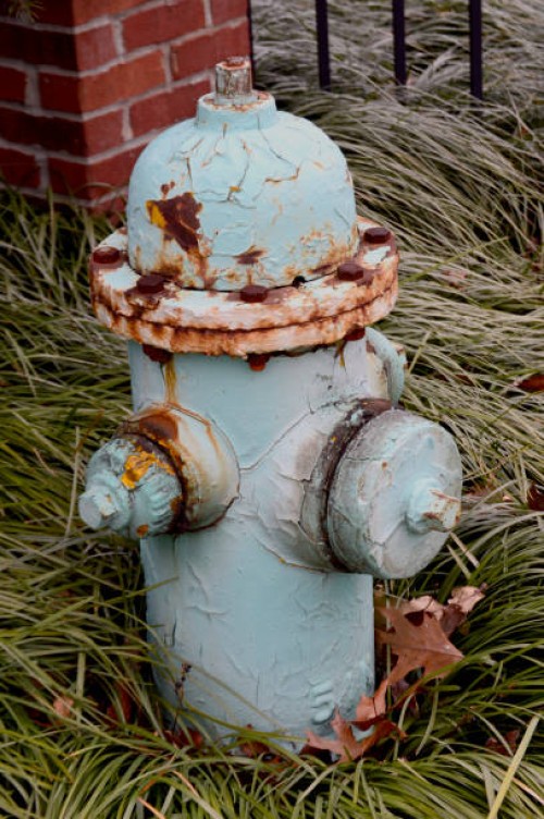 hydrant - garden decoration stock pictures, royalty-free photos & images