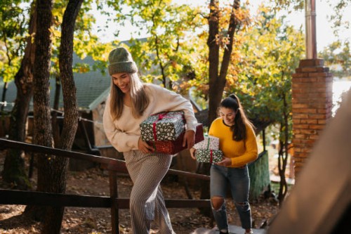 i have a christmas gift for you - garden decoration stock pictures, royalty-free photos & images