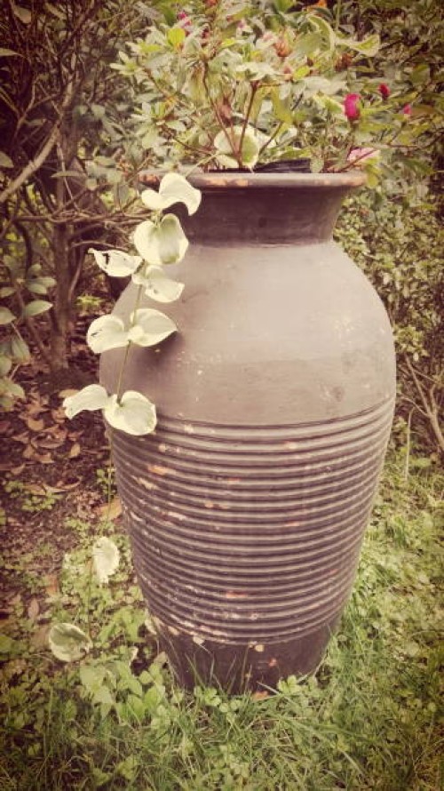 i have my place - garden decoration stock-fotos und bilder