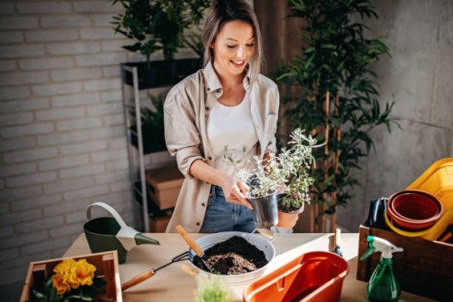 i love green - garden decoration stock pictures, royalty-free photos & images