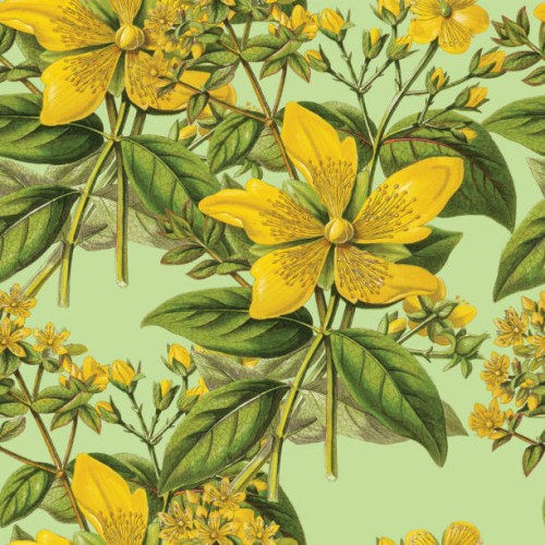 ictorian botanical, hand-colored, seamless repeating pattern. realistic blooming isolated flowers vintage fabric background. beautiful cottage garden and wildflowers. wallpaper baroque. drawing engraving. victorian illustrati