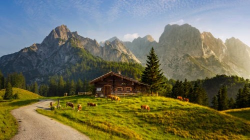 idyllic landscape in the alps with mountain chalet and cows in springtime - food stock pictures, royalty-free photos & images