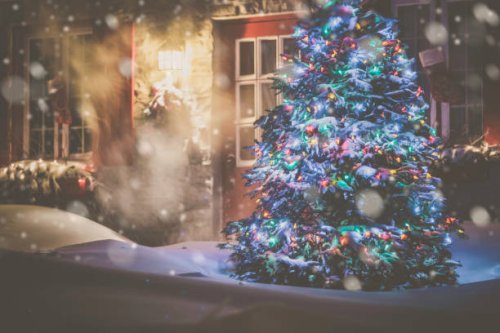 illuminated christmas tree at night during snowstorm - garden decoration stock pictures, royalty-free photos & images