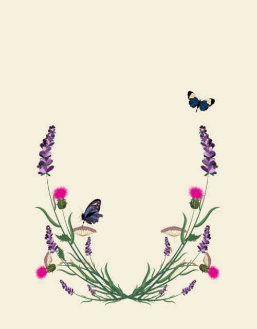 illustration of a lavender frame with wild flowers, pink thorns, butterflies, in violet tones - garden decoration stock pictures, royalty-free photos & images