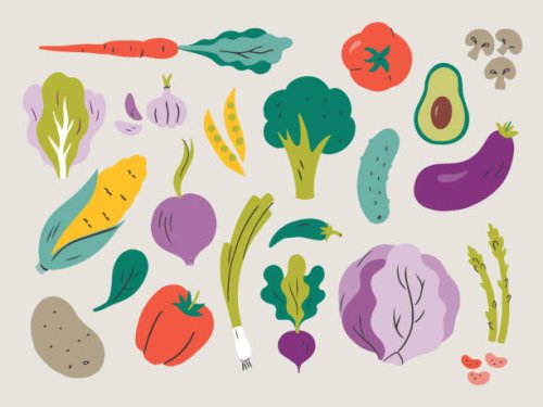 illustration of fresh vegetables — hand-drawn vector elements - food stock illustrations