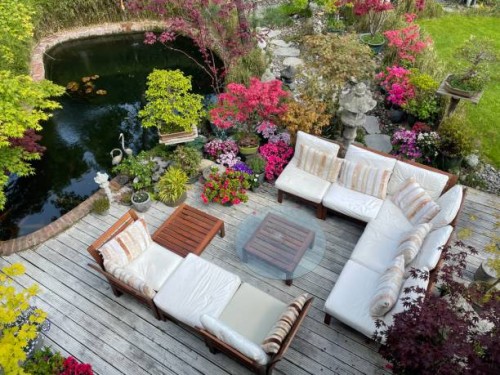 image of outdoor lounging area on sunny summer garden decking, grooved, whitewashed wooden deck, hardwood seating with cushions, glass table top, koi carp fish pond, bonsai trees, japanese maples, landscaped oriental design g