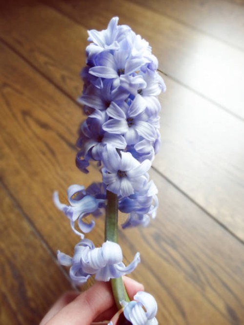 in my hand - garden decoration stock pictures, royalty-free photos & images