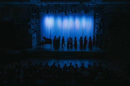 in silhouette choir getting ready on stage theatre - concert stock pictures, royalty-free photos & images