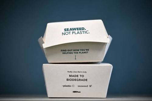 In this arranged photograph takeaway food packaging with "Notpla Coating" is pictured at Notpla in Hackney, east London, on November 24, 2022. - A...