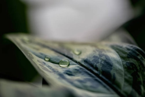 inspiration - garden decoration stock pictures, royalty-free photos & images