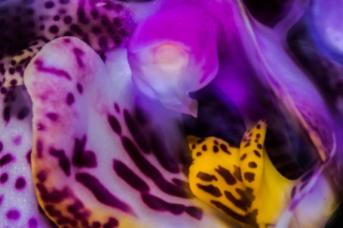 into the void - garden decoration stock pictures, royalty-free photos & images