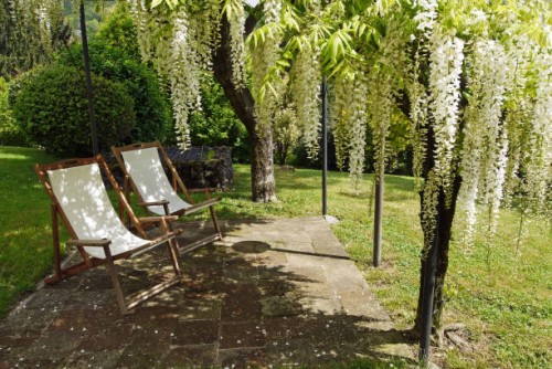 italian garden with white wisteria and two deck-chairs - garden decoration photos et images de collection