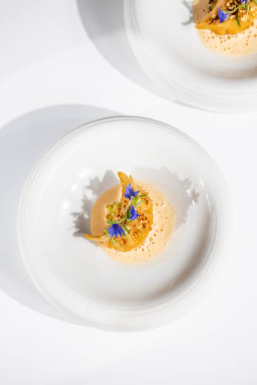 japanese gyoza dumpling michelin star gourmet dish with prawn and lobster seafood foam - food stock pictures, royalty-free photos & images