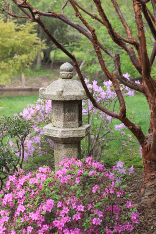 japanese lantern - garden decoration stock pictures, royalty-free photos & images