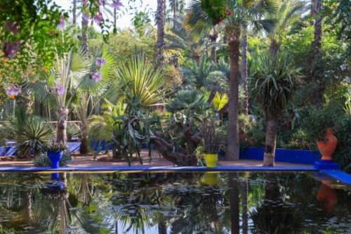 jardin majorelle, marrakech, morocco, north africa - garden decoration stock pictures, royalty-free photos & images