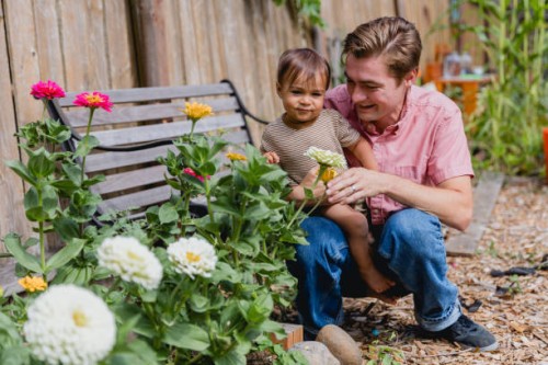 jardinage familial indien moderne à la maison - garden decoration photos et images de collection