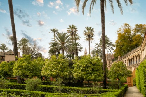 jardins du real alcazar à séville, espagne - garden decoration photos et images de collection