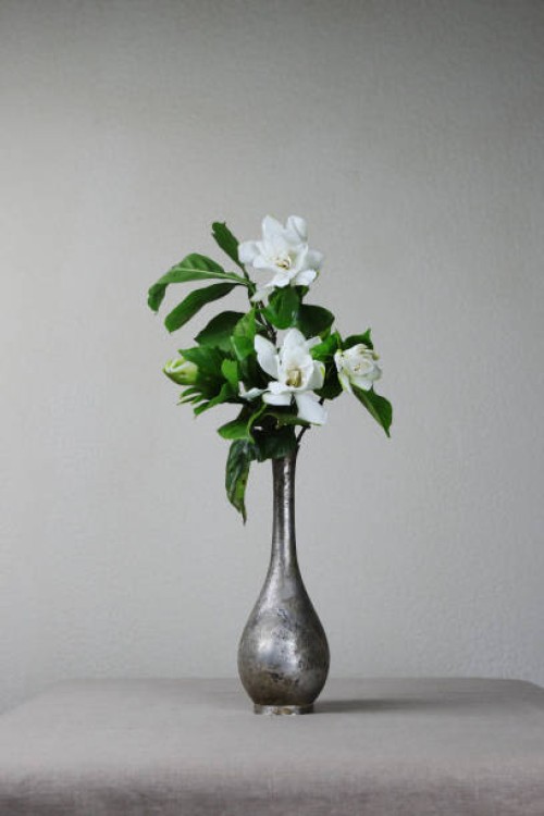 jijiang,china - east asia - garden decoration stock pictures, royalty-free photos & images