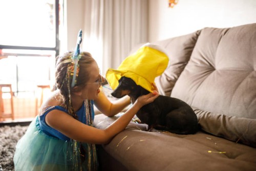 jonge vrouw die een hoed op hond draagt om braziliaans carnaval thuis te vieren - home decoration stockfoto's en -beelden