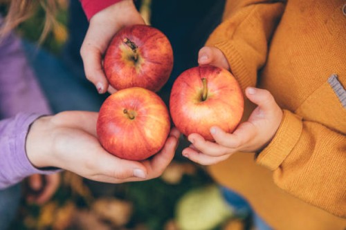 kids in an orchard holding red apples - food stock pictures, royalty-free photos & images