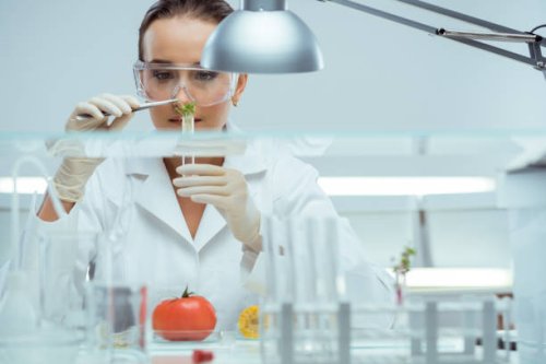 laboratory - food stock pictures, royalty-free photos & images