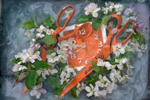 ladakh fox - garden decoration stock pictures, royalty-free photos & images