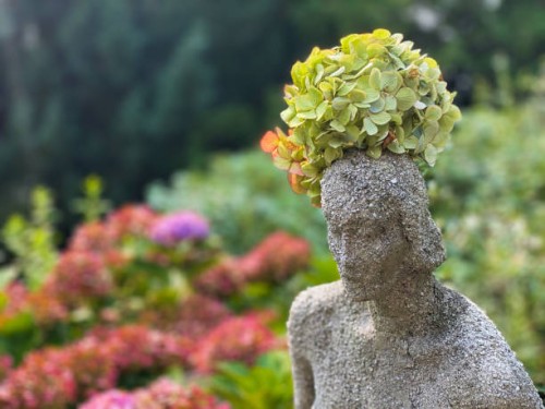 lady statue in the garden crowned with a single hydrangea blossom - garden decoration stock pictures, royalty-free photos & images