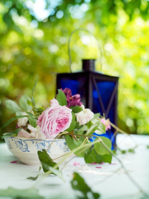 lantern and rose on a garden table. - garden decoration stock pictures, royalty-free photos & images